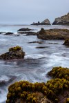 Point Lobos